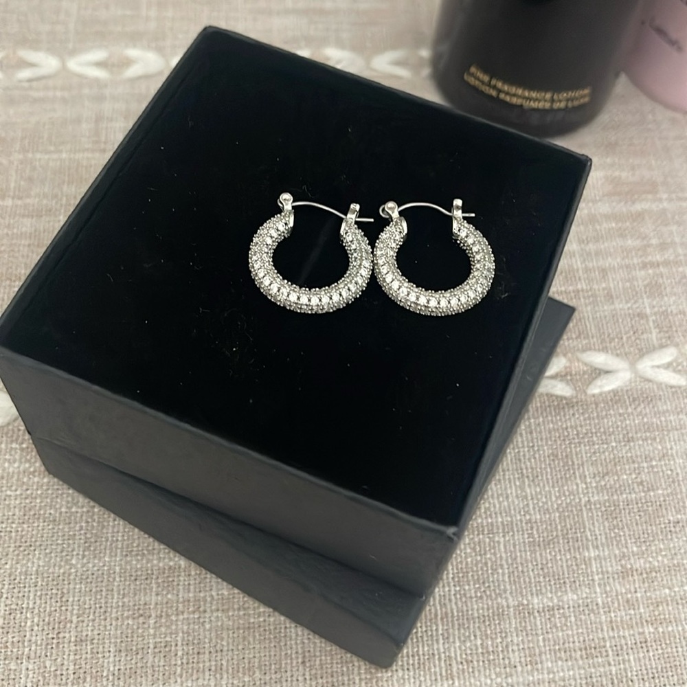 Elegant Silver Hoop Earrings